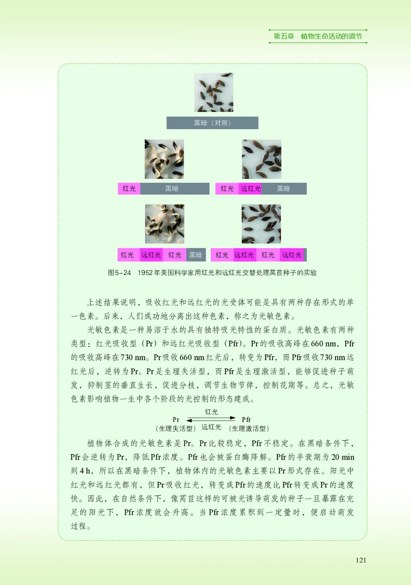 浙科版生物选修1高清教材_4-教培资料-26年最新资料-同步更新_初中高中教资_03科三专项（进去保存报考的学科即可）_02科三专项（笔记真题思维导图教学设计版本二）