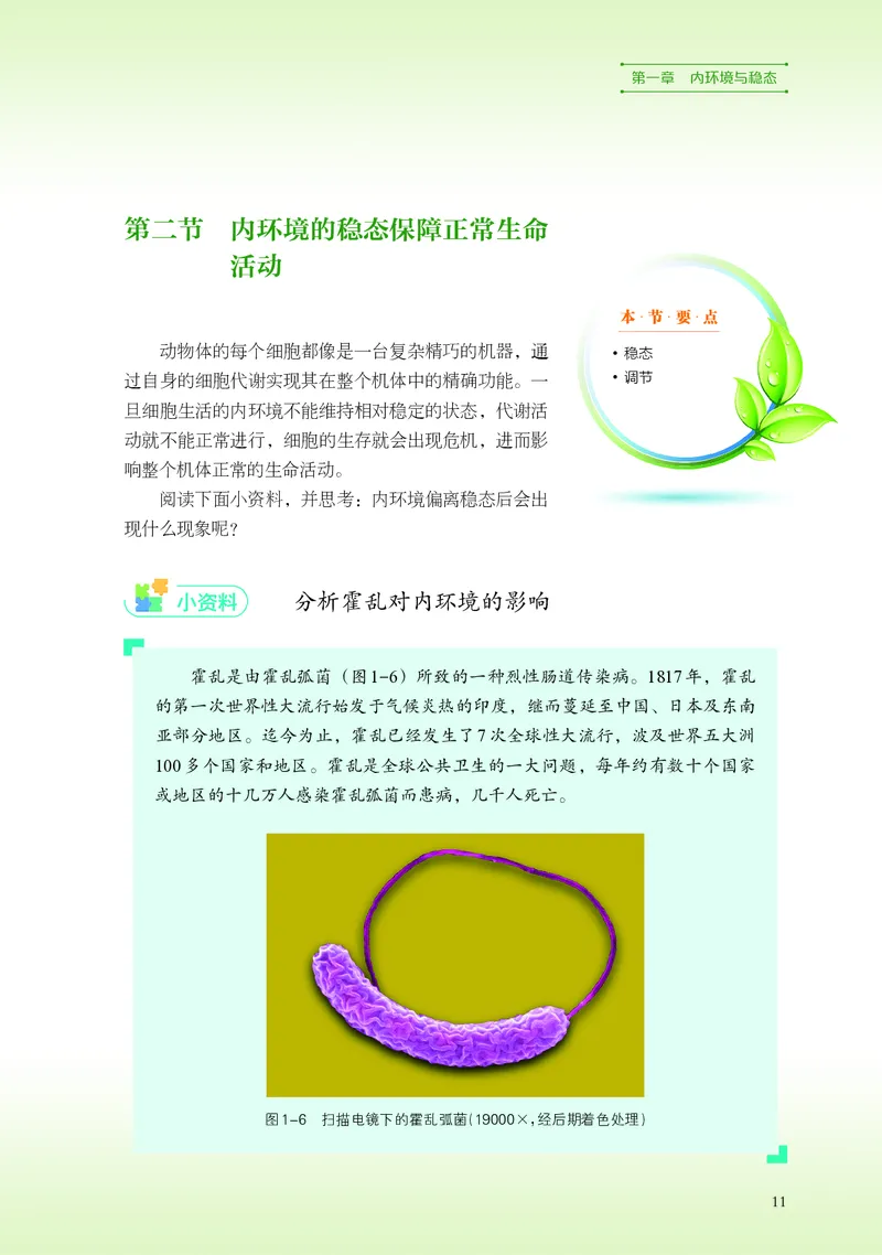 浙科版生物选修1高清教材_4-教培资料-26年最新资料-同步更新_初中高中教资_03科三专项（进去保存报考的学科即可）_02科三专项（笔记真题思维导图教学设计版本二）