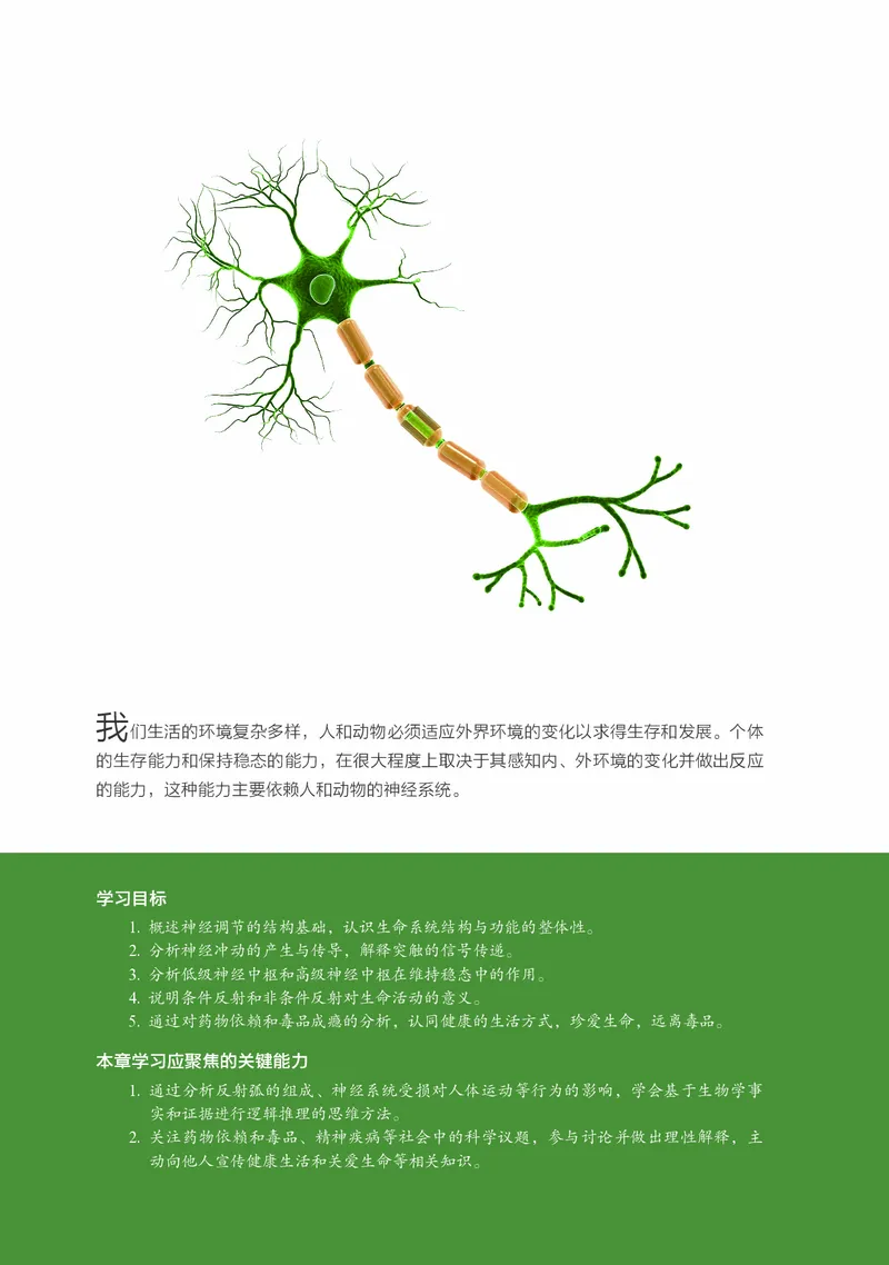 浙科版生物选修1高清教材_4-教培资料-26年最新资料-同步更新_初中高中教资_03科三专项（进去保存报考的学科即可）_02科三专项（笔记真题思维导图教学设计版本二）