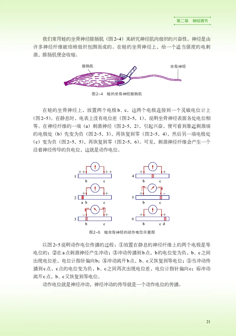 浙科版生物选修1高清教材_4-教培资料-26年最新资料-同步更新_初中高中教资_03科三专项（进去保存报考的学科即可）_02科三专项（笔记真题思维导图教学设计版本二）