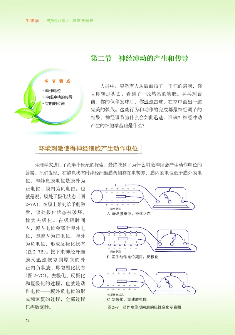 浙科版生物选修1高清教材_4-教培资料-26年最新资料-同步更新_初中高中教资_03科三专项（进去保存报考的学科即可）_02科三专项（笔记真题思维导图教学设计版本二）