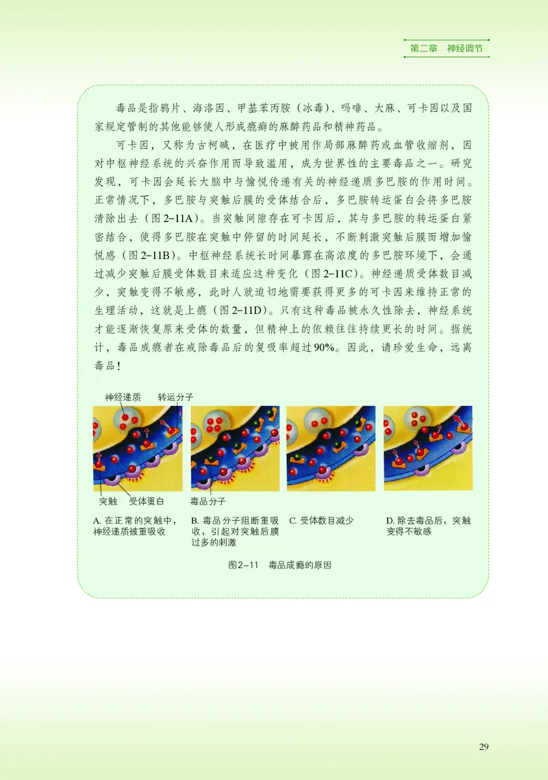 浙科版生物选修1高清教材_4-教培资料-26年最新资料-同步更新_初中高中教资_03科三专项（进去保存报考的学科即可）_02科三专项（笔记真题思维导图教学设计版本二）