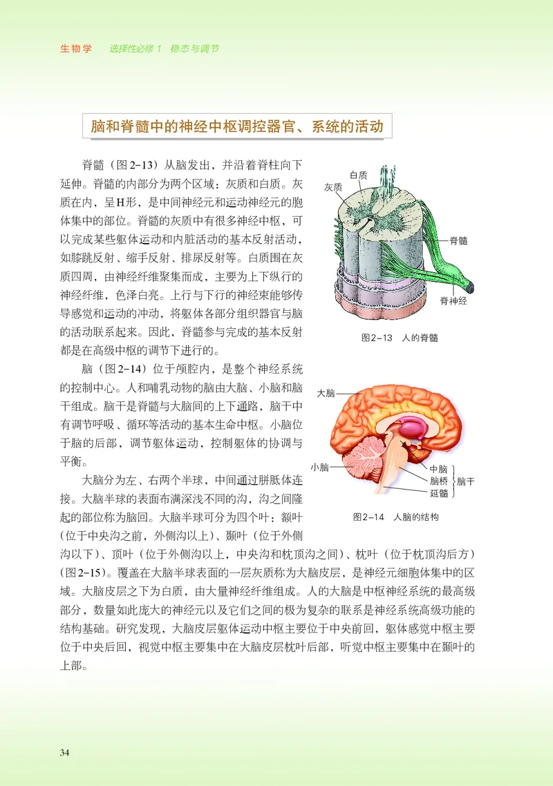 浙科版生物选修1高清教材_4-教培资料-26年最新资料-同步更新_初中高中教资_03科三专项（进去保存报考的学科即可）_02科三专项（笔记真题思维导图教学设计版本二）