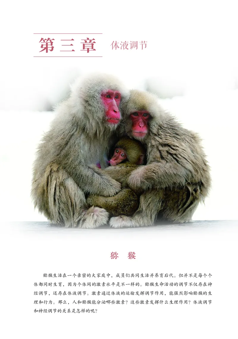 浙科版生物选修1高清教材_4-教培资料-26年最新资料-同步更新_初中高中教资_03科三专项（进去保存报考的学科即可）_02科三专项（笔记真题思维导图教学设计版本二）