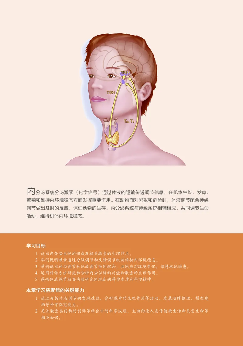 浙科版生物选修1高清教材_4-教培资料-26年最新资料-同步更新_初中高中教资_03科三专项（进去保存报考的学科即可）_02科三专项（笔记真题思维导图教学设计版本二）
