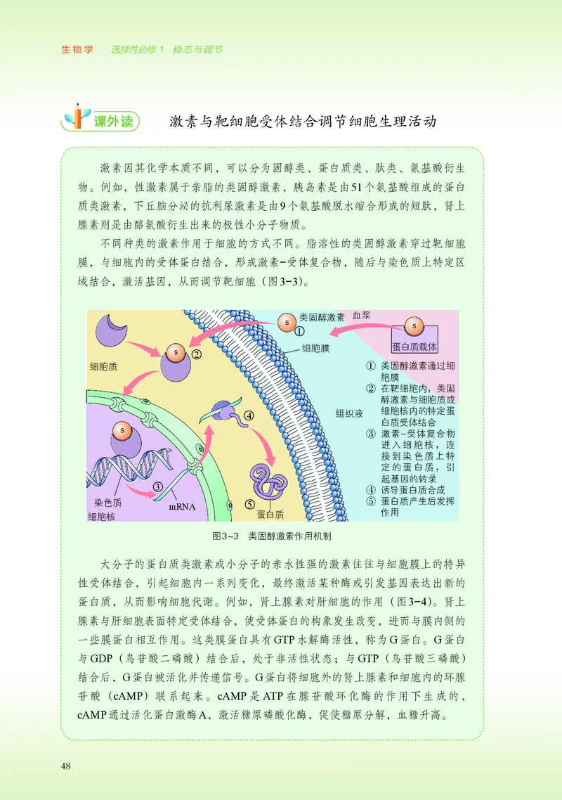 浙科版生物选修1高清教材_4-教培资料-26年最新资料-同步更新_初中高中教资_03科三专项（进去保存报考的学科即可）_02科三专项（笔记真题思维导图教学设计版本二）