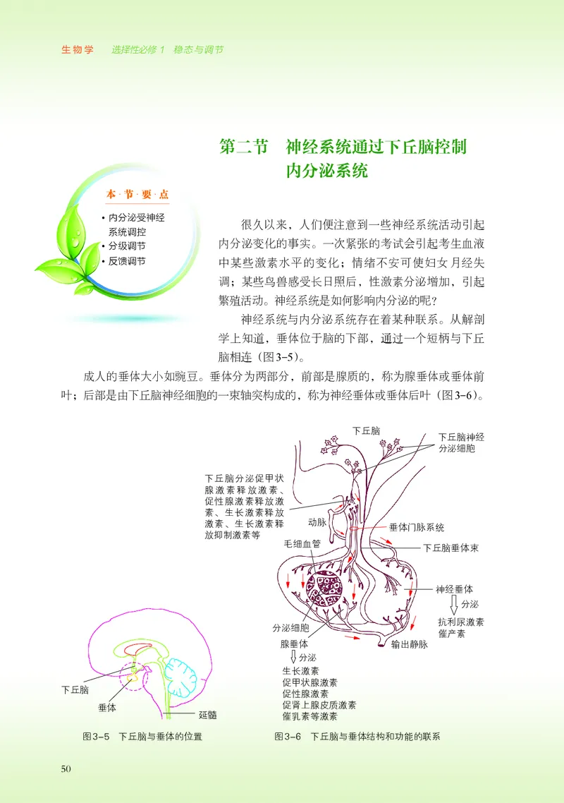 浙科版生物选修1高清教材_4-教培资料-26年最新资料-同步更新_初中高中教资_03科三专项（进去保存报考的学科即可）_02科三专项（笔记真题思维导图教学设计版本二）