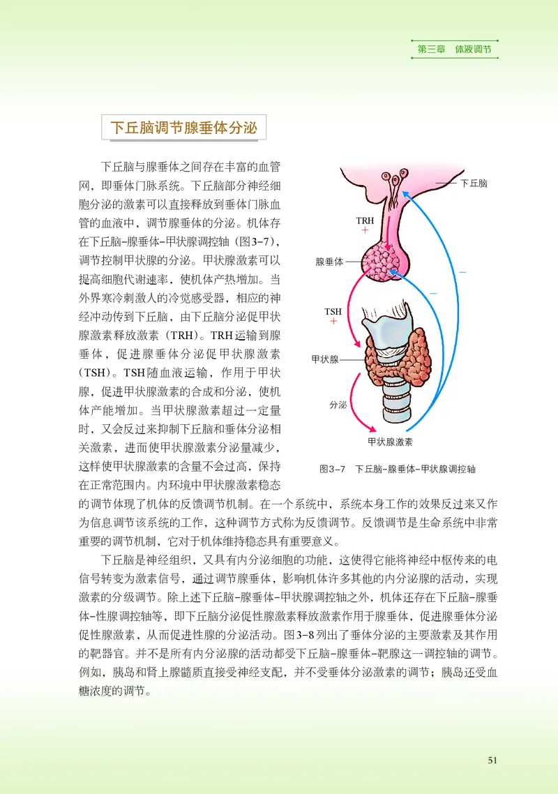 浙科版生物选修1高清教材_4-教培资料-26年最新资料-同步更新_初中高中教资_03科三专项（进去保存报考的学科即可）_02科三专项（笔记真题思维导图教学设计版本二）