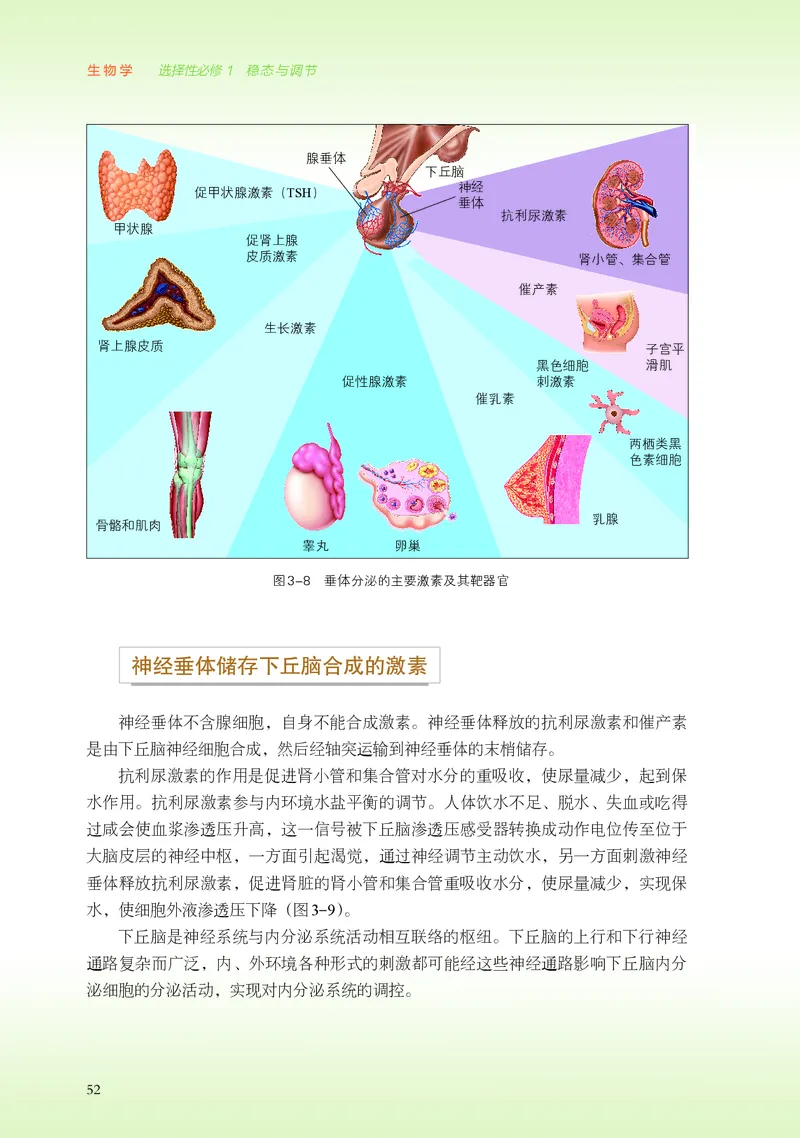 浙科版生物选修1高清教材_4-教培资料-26年最新资料-同步更新_初中高中教资_03科三专项（进去保存报考的学科即可）_02科三专项（笔记真题思维导图教学设计版本二）