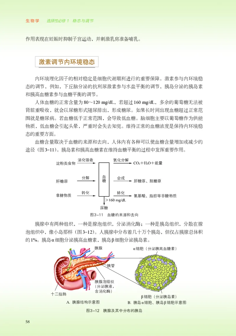 浙科版生物选修1高清教材_4-教培资料-26年最新资料-同步更新_初中高中教资_03科三专项（进去保存报考的学科即可）_02科三专项（笔记真题思维导图教学设计版本二）