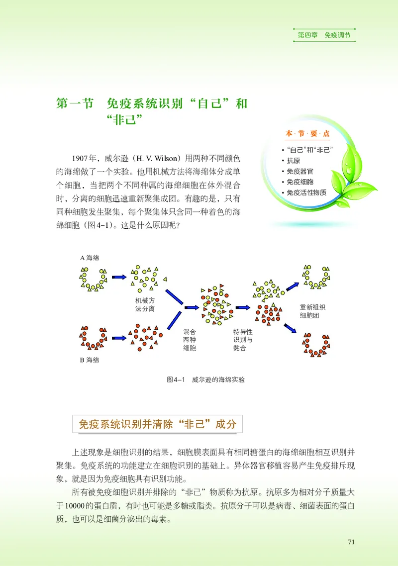 浙科版生物选修1高清教材_4-教培资料-26年最新资料-同步更新_初中高中教资_03科三专项（进去保存报考的学科即可）_02科三专项（笔记真题思维导图教学设计版本二）