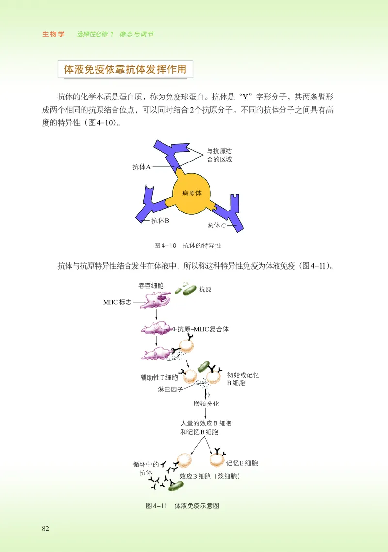 浙科版生物选修1高清教材_4-教培资料-26年最新资料-同步更新_初中高中教资_03科三专项（进去保存报考的学科即可）_02科三专项（笔记真题思维导图教学设计版本二）