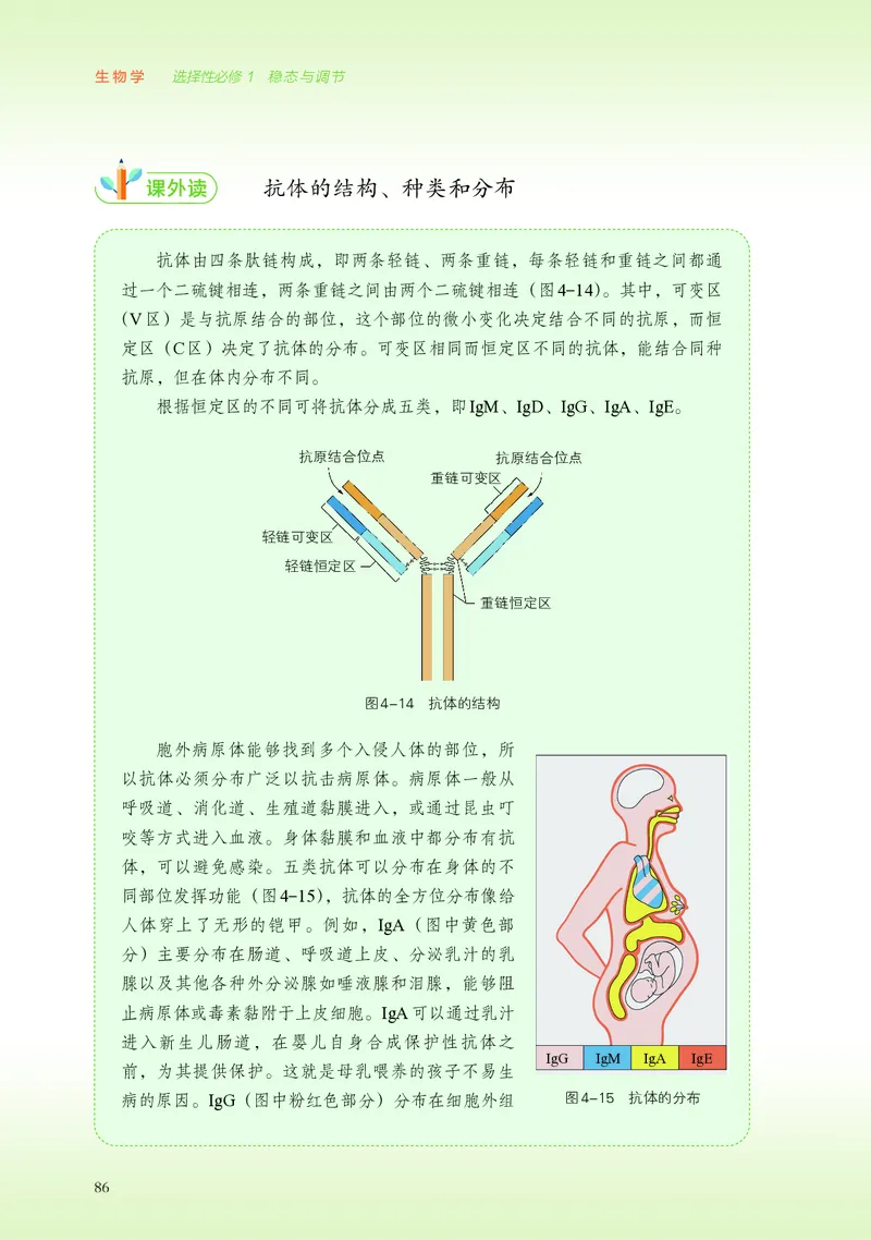 浙科版生物选修1高清教材_4-教培资料-26年最新资料-同步更新_初中高中教资_03科三专项（进去保存报考的学科即可）_02科三专项（笔记真题思维导图教学设计版本二）
