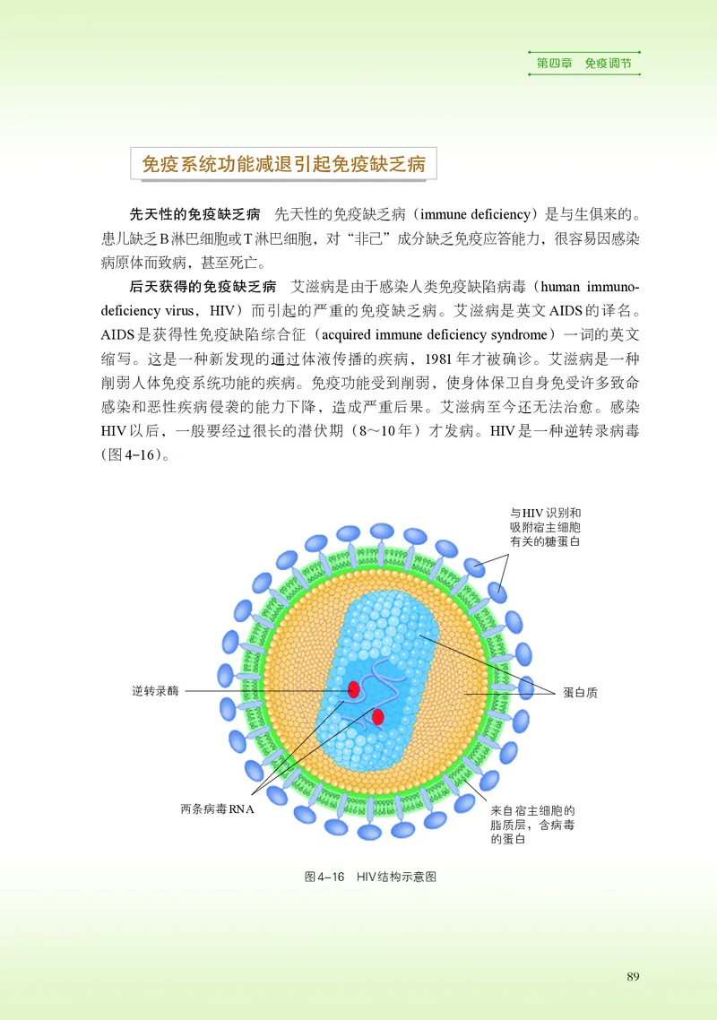 浙科版生物选修1高清教材_4-教培资料-26年最新资料-同步更新_初中高中教资_03科三专项（进去保存报考的学科即可）_02科三专项（笔记真题思维导图教学设计版本二）