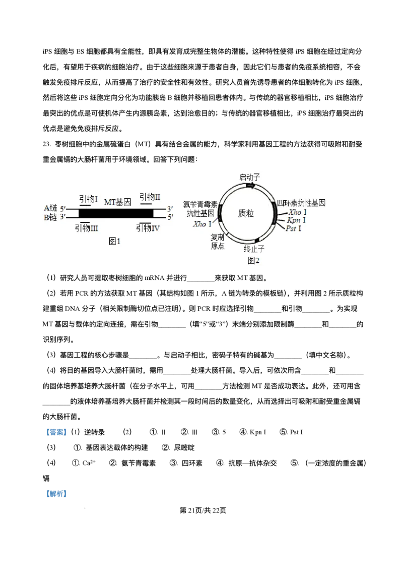河北省石家庄市2024-2025学年高二下学期期末教学质量检测生物试卷（含答案）_2025年7月_250711河北省石家庄市2024-2025学年高二下学期期末教学质量检测（全科）