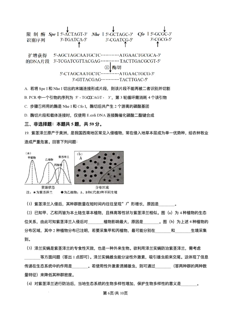 河北省石家庄市2024-2025学年高二下学期期末教学质量检测生物试卷（含答案）_2025年7月_250711河北省石家庄市2024-2025学年高二下学期期末教学质量检测（全科）