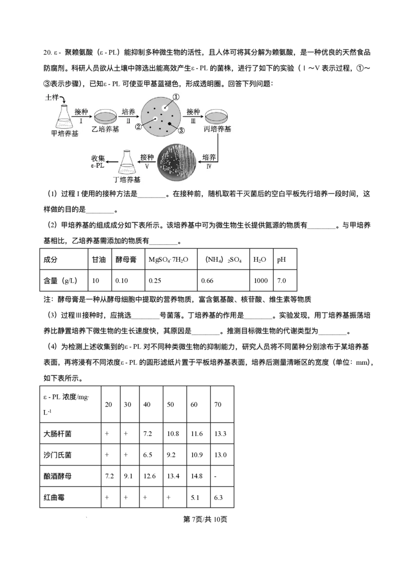 河北省石家庄市2024-2025学年高二下学期期末教学质量检测生物试卷（含答案）_2025年7月_250711河北省石家庄市2024-2025学年高二下学期期末教学质量检测（全科）