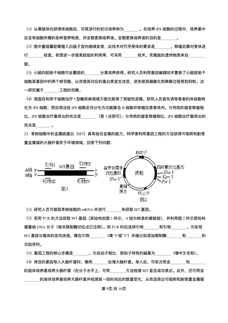 河北省石家庄市2024-2025学年高二下学期期末教学质量检测生物试卷（含答案）_2025年7月_250711河北省石家庄市2024-2025学年高二下学期期末教学质量检测（全科）