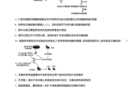 河北省石家庄市2024-2025学年高二下学期期末教学质量检测生物试卷（含答案）_2025年7月_250711河北省石家庄市2024-2025学年高二下学期期末教学质量检测（全科）