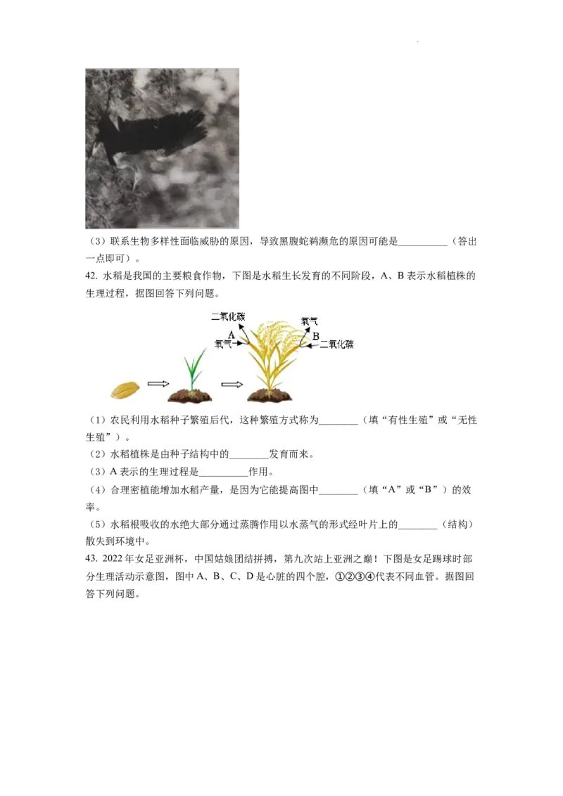 精品解析：2022年云南省中考生物真题（原卷版）_中考真题_8.生物中考真题2015-2024年_2022年全国中考生物114份14