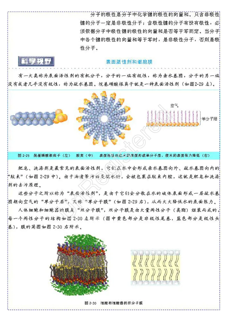 物质结构与性质1自制_4-教培资料-26年最新资料-同步更新_初中高中教资_03科三专项（进去保存报考的学科即可）_02科三专项（笔记真题思维导图教学设计版本二）