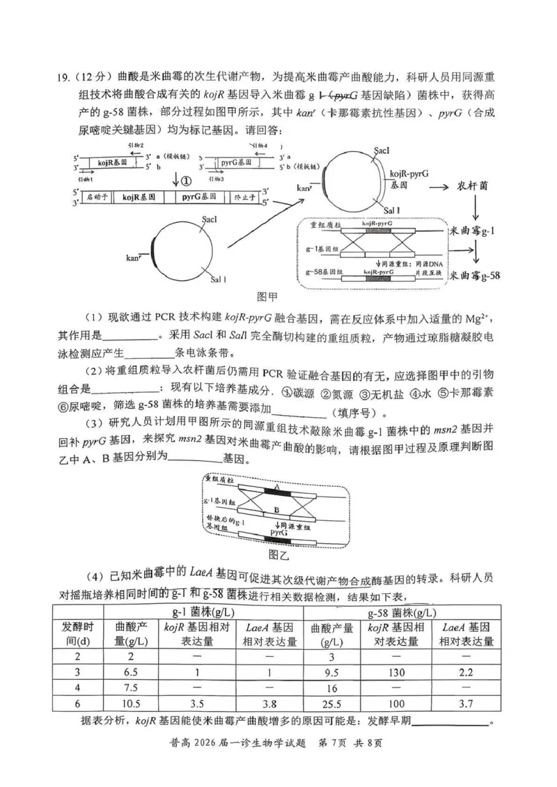 四川省自贡市普高2026届第一次诊断性考试生物_2025年12月_251214四川省自贡市普高2026届第一次诊断性考试_四川省自贡市普高2026届第一次诊断性考试生物