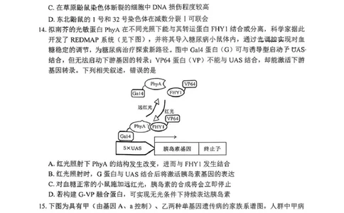 四川省自贡市普高2026届第一次诊断性考试生物_2025年12月_251214四川省自贡市普高2026届第一次诊断性考试_四川省自贡市普高2026届第一次诊断性考试生物