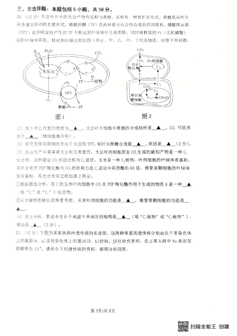江苏省南京市六校联合体2024-2025学年高二下学期6月期末考试生物试题（含答案）_2025年7月_250701江苏省南京市六校联合体2024-2025学年高二下学期6月期末考试（全科）