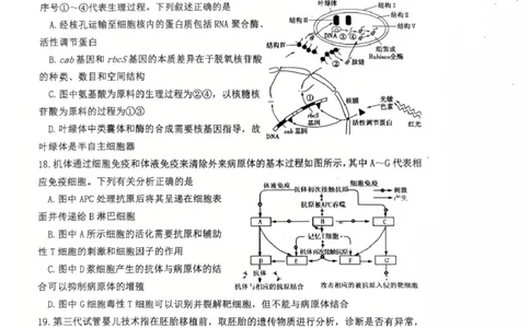 江苏省南京市六校联合体2024-2025学年高二下学期6月期末考试生物试题（含答案）_2025年7月_250701江苏省南京市六校联合体2024-2025学年高二下学期6月期末考试（全科）