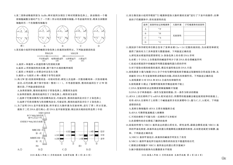 河南省百师联盟2026届高三年级11月阶段检测生物_251115河南省百师联盟2026届高三年级11月阶段检测（全科）