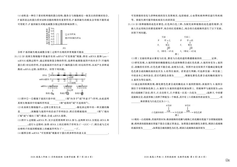 河南省百师联盟2026届高三年级11月阶段检测生物_251115河南省百师联盟2026届高三年级11月阶段检测（全科）