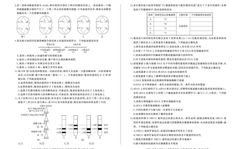 河南省百师联盟2026届高三年级11月阶段检测生物_251115河南省百师联盟2026届高三年级11月阶段检测（全科）