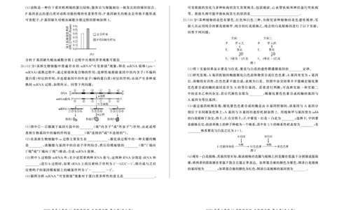 河南省百师联盟2026届高三年级11月阶段检测生物_251115河南省百师联盟2026届高三年级11月阶段检测（全科）