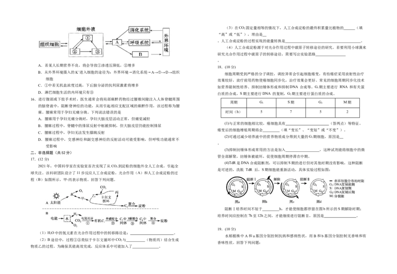 宁夏银川第一中学2025-2026学年高三上学期第五次月考生物试题_2025年12月_251231宁夏回族自治区银川一中2024-2025学年高三上学期第五次月考（全科）