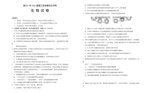 宁夏银川第一中学2025-2026学年高三上学期第五次月考生物试题_2025年12月_251231宁夏回族自治区银川一中2024-2025学年高三上学期第五次月考（全科）