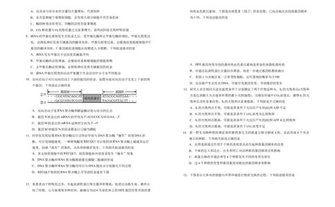 宁夏银川第一中学2025-2026学年高三上学期第五次月考生物试题_2025年12月_251231宁夏回族自治区银川一中2024-2025学年高三上学期第五次月考（全科）