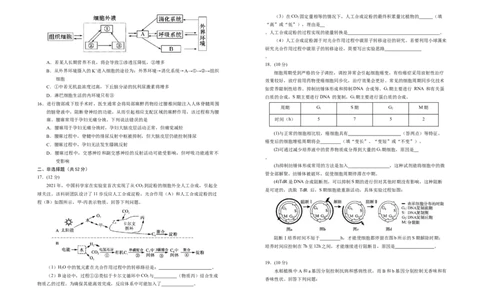 宁夏银川第一中学2025-2026学年高三上学期第五次月考生物试题_2025年12月_251231宁夏回族自治区银川一中2024-2025学年高三上学期第五次月考（全科）