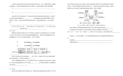 宁夏银川第一中学2025-2026学年高三上学期第五次月考生物试题_2025年12月_251231宁夏回族自治区银川一中2024-2025学年高三上学期第五次月考（全科）