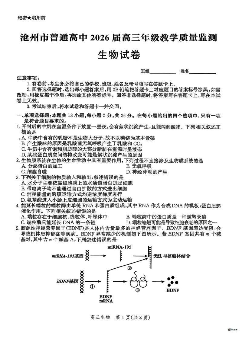河北省2026届沧州市高三上学期12月教学质量监测生物试题+答案_2025年12月_251215河北省2026届沧州市高三上学期12月教学质量监测
