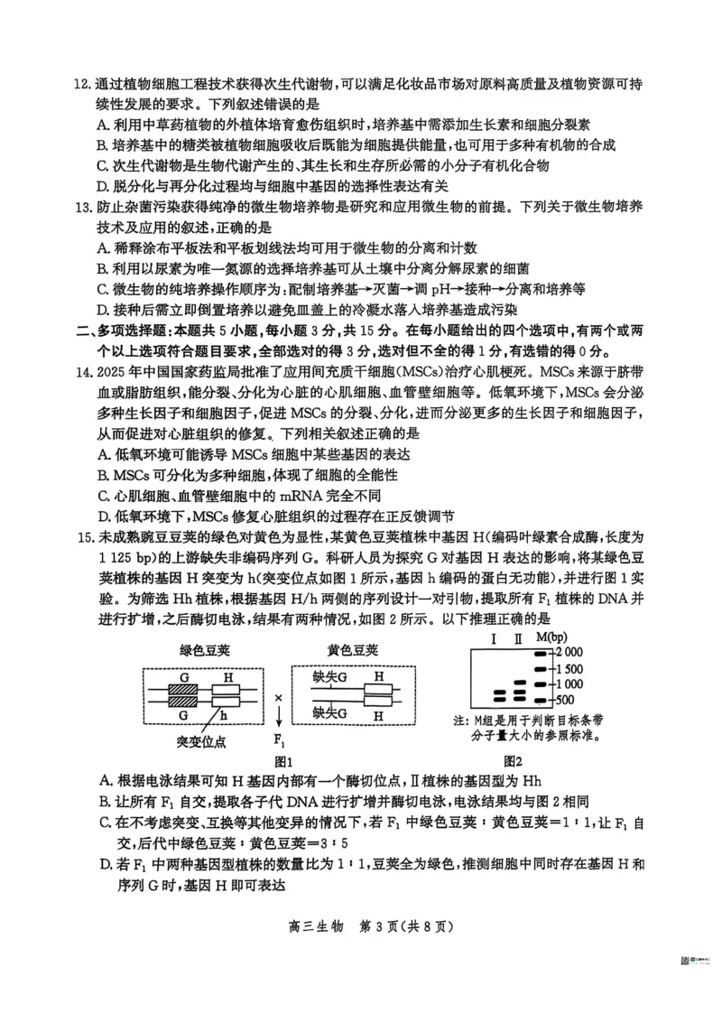 河北省2026届沧州市高三上学期12月教学质量监测生物试题+答案_2025年12月_251215河北省2026届沧州市高三上学期12月教学质量监测