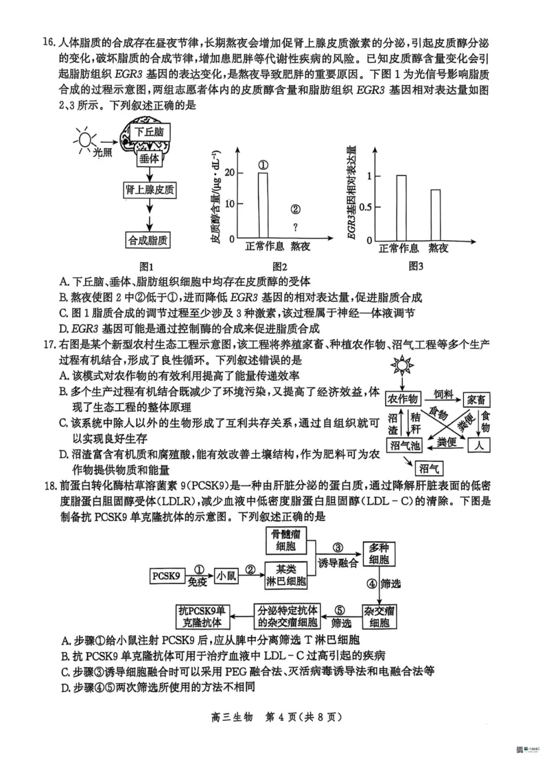 河北省2026届沧州市高三上学期12月教学质量监测生物试题+答案_2025年12月_251215河北省2026届沧州市高三上学期12月教学质量监测