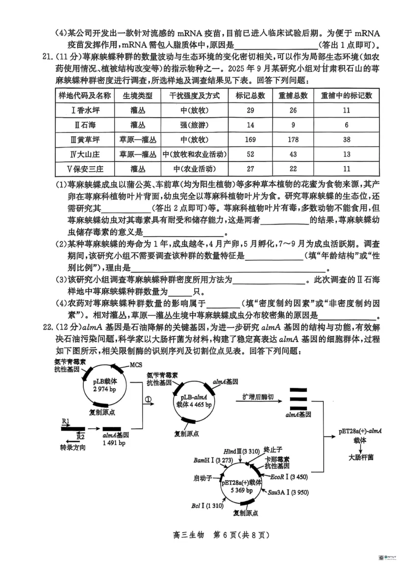 河北省2026届沧州市高三上学期12月教学质量监测生物试题+答案_2025年12月_251215河北省2026届沧州市高三上学期12月教学质量监测