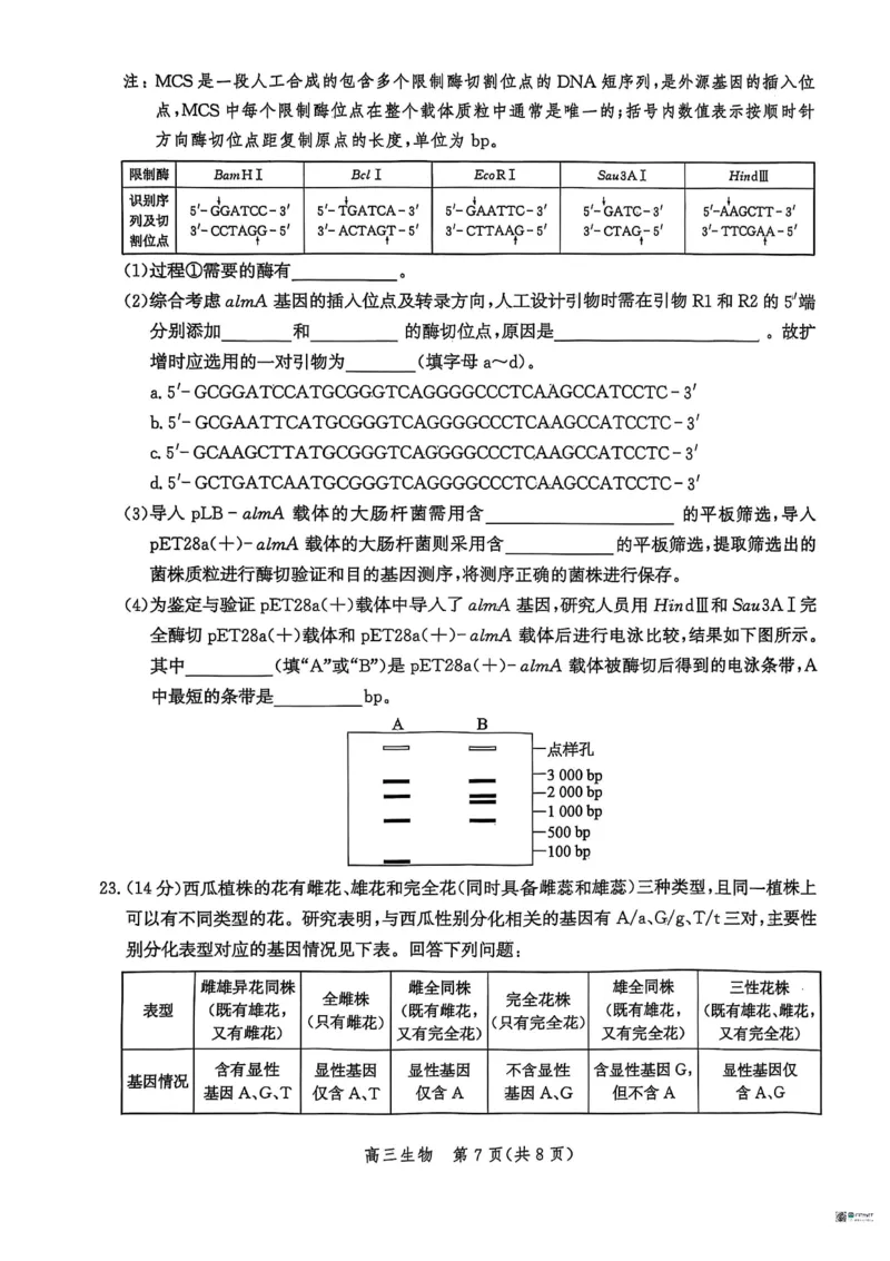 河北省2026届沧州市高三上学期12月教学质量监测生物试题+答案_2025年12月_251215河北省2026届沧州市高三上学期12月教学质量监测