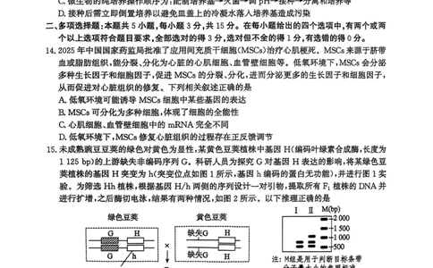 河北省2026届沧州市高三上学期12月教学质量监测生物试题+答案_2025年12月_251215河北省2026届沧州市高三上学期12月教学质量监测