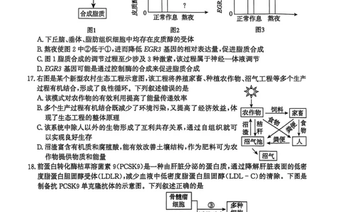 河北省2026届沧州市高三上学期12月教学质量监测生物试题+答案_2025年12月_251215河北省2026届沧州市高三上学期12月教学质量监测