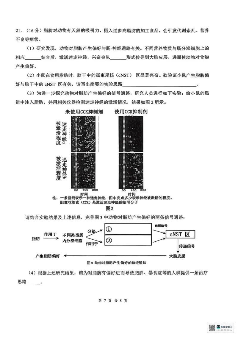 云学联盟2025-2026学年高三上学期12月月考生物_2025年12月_251220湖北省云学联盟2025-2026学年高三上学期12月月考（全科）
