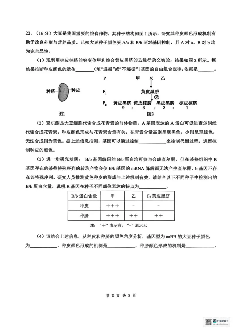 云学联盟2025-2026学年高三上学期12月月考生物_2025年12月_251220湖北省云学联盟2025-2026学年高三上学期12月月考（全科）