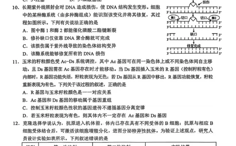 云学联盟2025-2026学年高三上学期12月月考生物_2025年12月_251220湖北省云学联盟2025-2026学年高三上学期12月月考（全科）