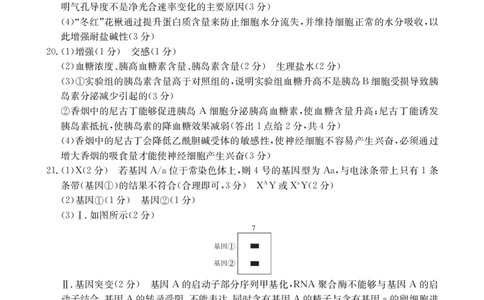 2024年元月调考高三生物答案_2024年1月_01每日更新_22号_2024届湖北省十堰市高三上学期1月调研考试_湖北省十堰市2024届高三上学期1月调研考试生物