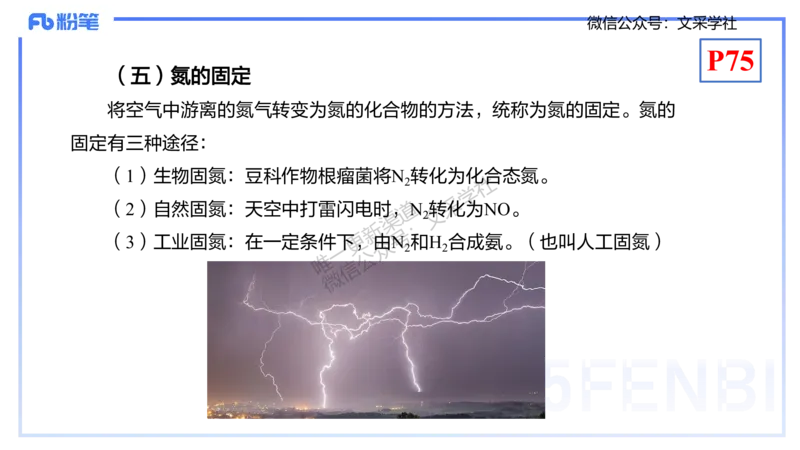 理论精讲09-元素化合物5-岳筱涵_4-教培资料-26年最新资料-同步更新_初中高中教资_03科三专项（进去保存报考的学科即可）_01科目三FB网课、三色速记手册、知识点导图等推荐